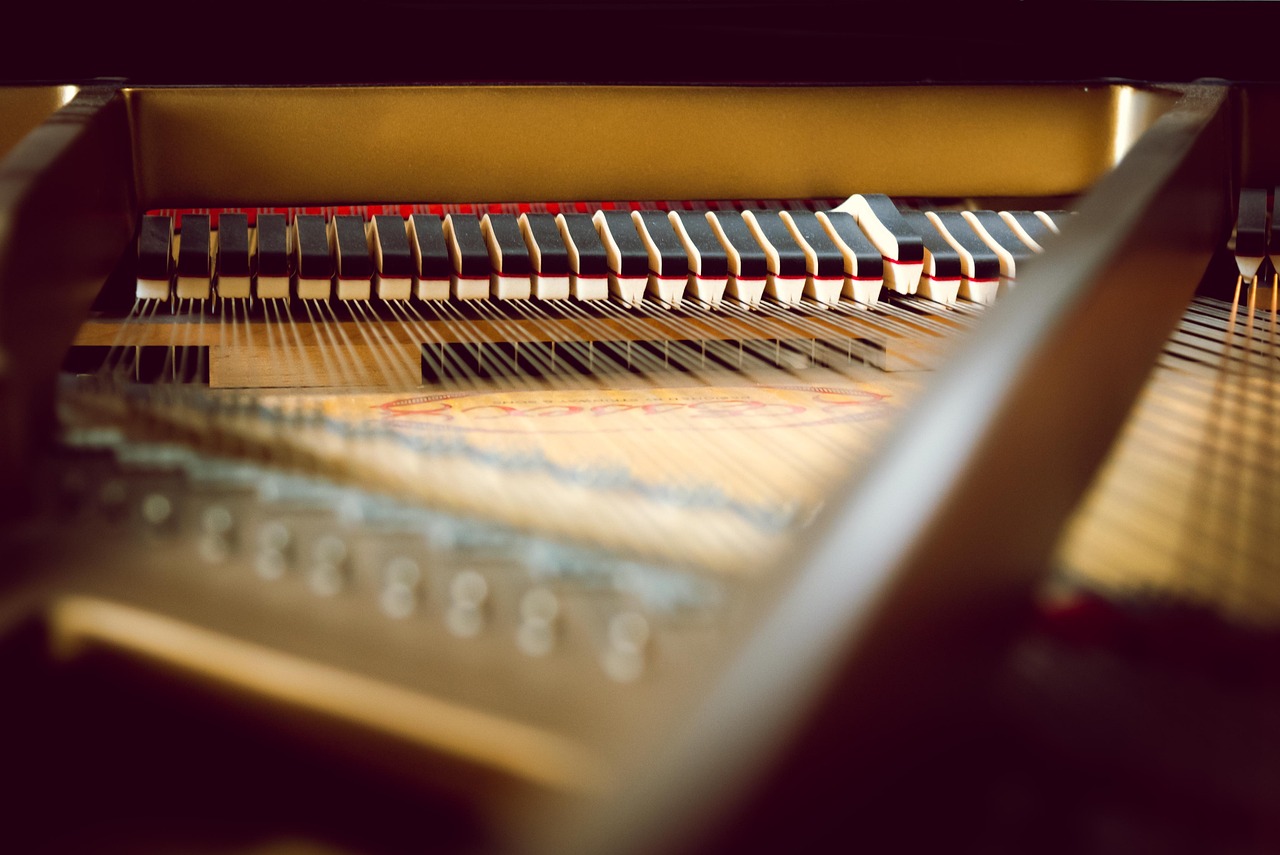 Grand piano interior